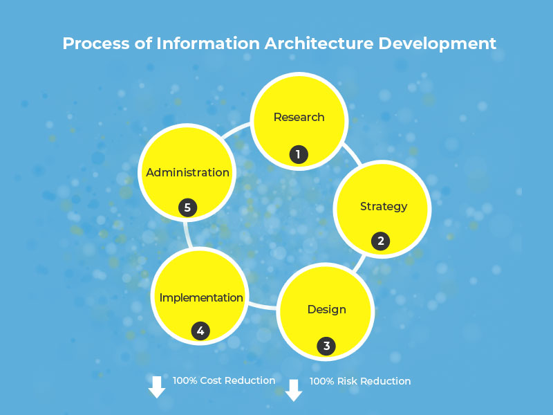 How Information Architecture Use for Website Development